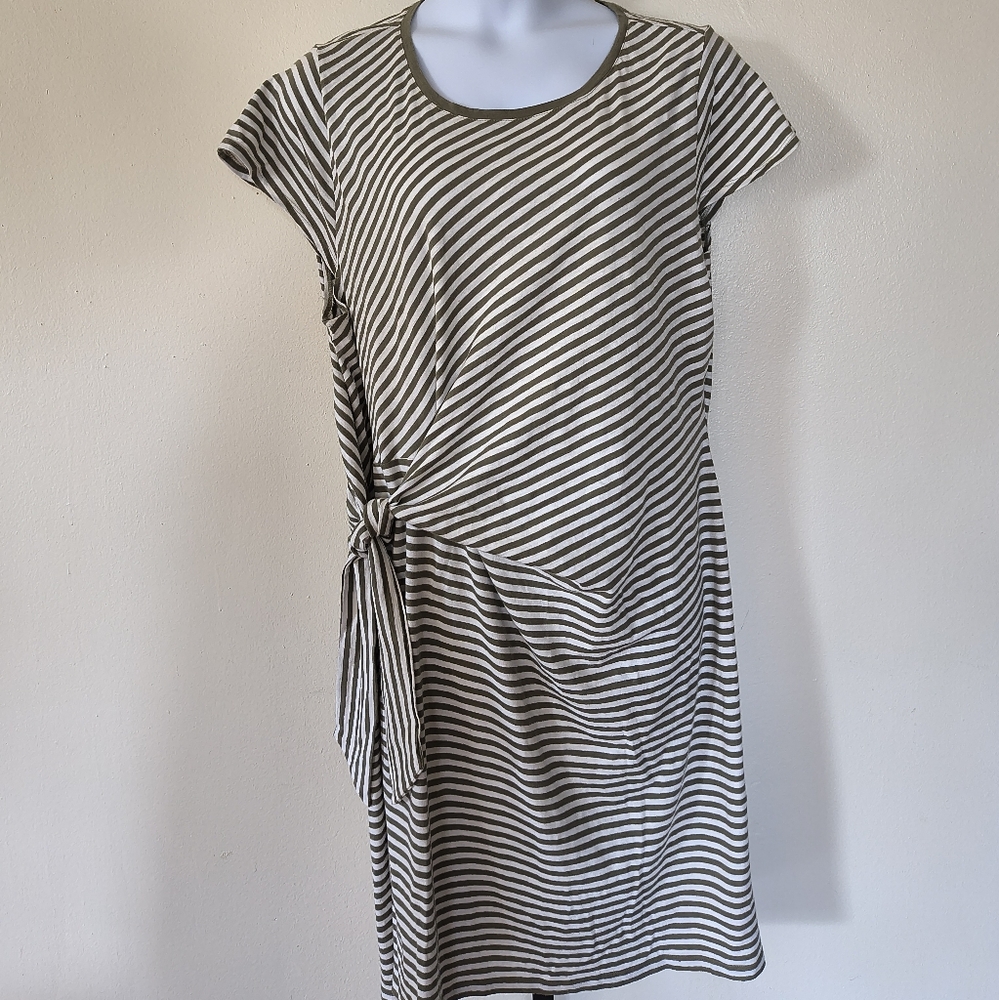 Talbots Plus Cotton Green White Stripes Dress Size 3X Office Career Business